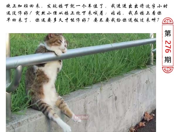 黄大仙手机站